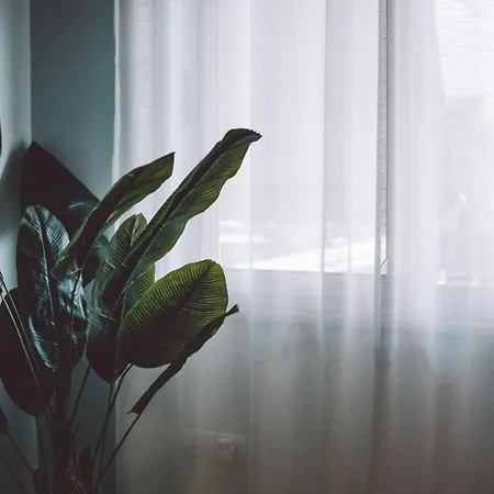 Central Apartment شقة *