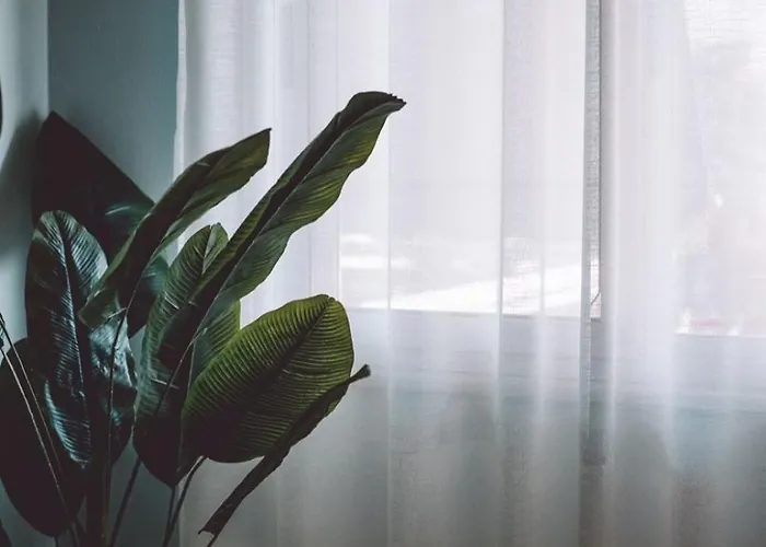 Central Apartment Apartman *